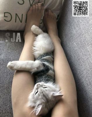中文字幕欧美精品人妻一区_HD在线观看电视