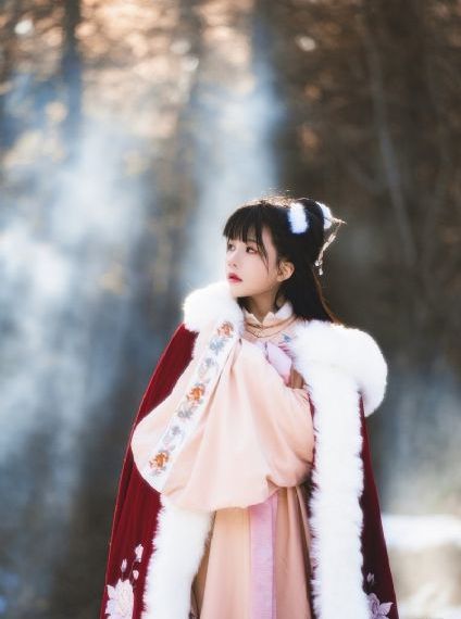 日本被黑人强伦姧人妻_BD国语超清免费观看